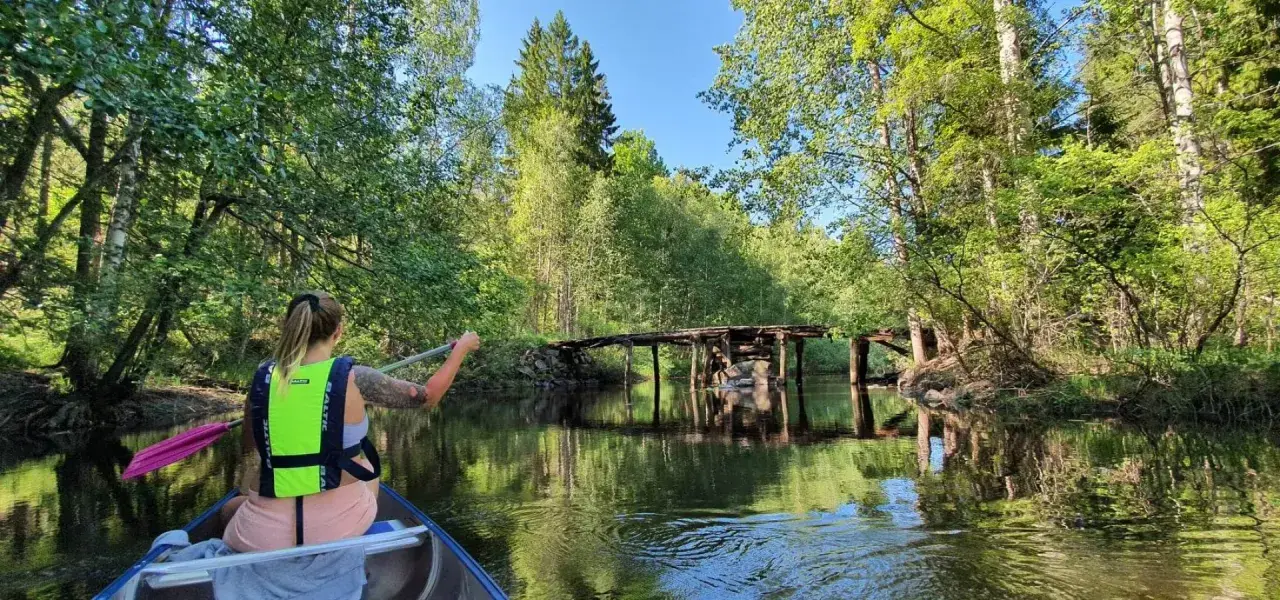 En person paddlar kanot på en lugn å genom en lummig skog. Framför syns en gammal, förfallen träbro.